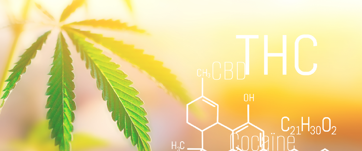 test cannabis - et autres
